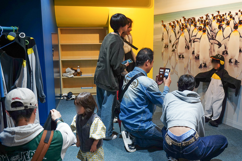 下關水族館．海響館攻略：全世界最多種類河豚展示，日本最大”企鵝村”，世界稀有藍鯨全身骨骼標本，海豚海獅同台表演秀 @緹雅瑪 美食旅遊趣