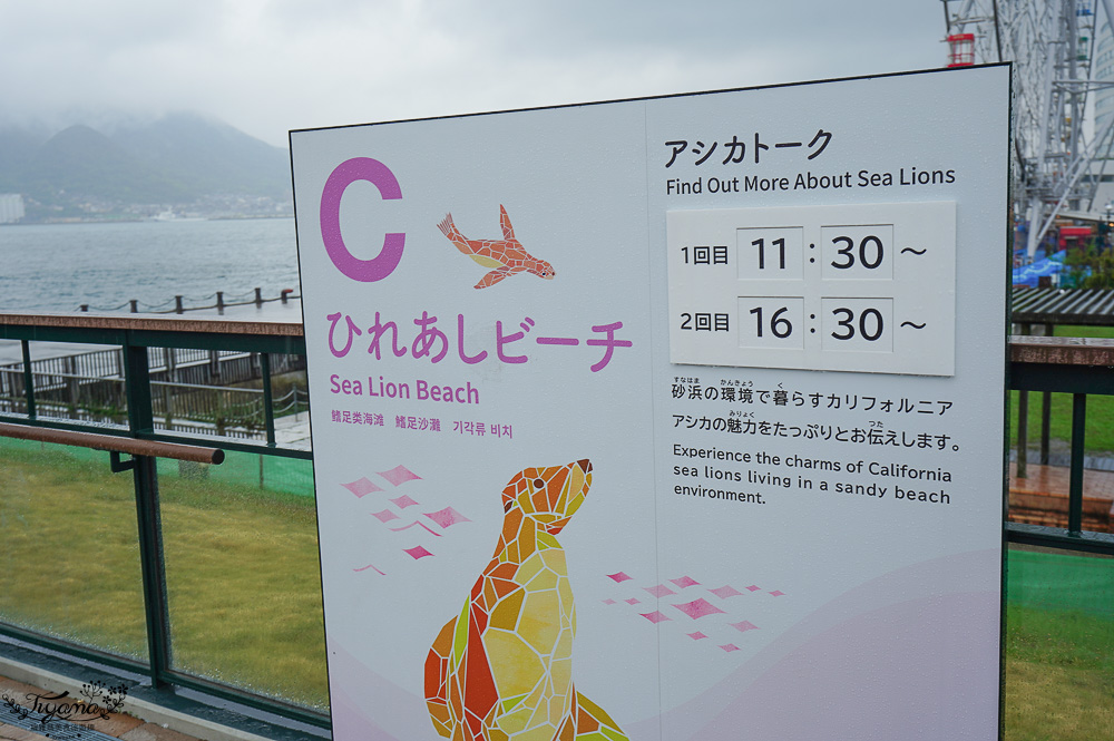 下關水族館．海響館攻略：全世界最多種類河豚展示，日本最大”企鵝村”，世界稀有藍鯨全身骨骼標本，海豚海獅同台表演秀 @緹雅瑪 美食旅遊趣