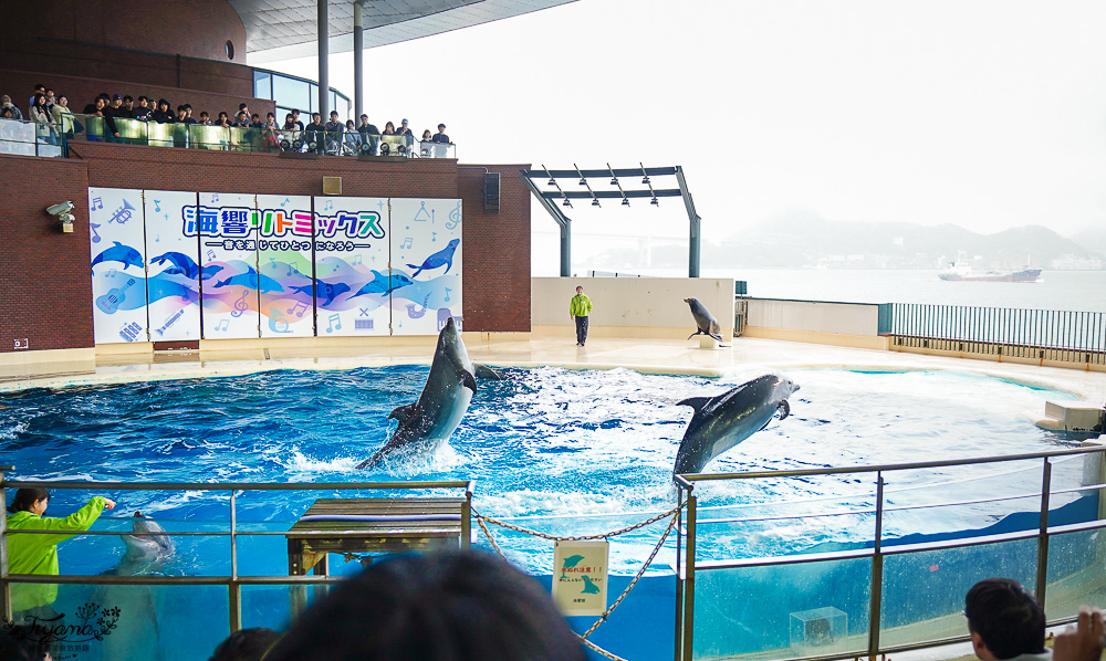 下關水族館．海響館攻略：全世界最多種類河豚展示，日本最大”企鵝村”，世界稀有藍鯨全身骨骼標本，海豚海獅同台表演秀 @緹雅瑪 美食旅遊趣