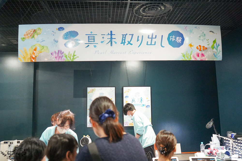 下關水族館．海響館攻略：全世界最多種類河豚展示，日本最大”企鵝村”，世界稀有藍鯨全身骨骼標本，海豚海獅同台表演秀 @緹雅瑪 美食旅遊趣
