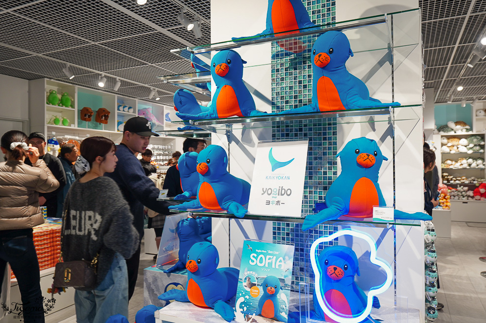 下關水族館．海響館攻略：全世界最多種類河豚展示，日本最大”企鵝村”，世界稀有藍鯨全身骨骼標本，海豚海獅同台表演秀 @緹雅瑪 美食旅遊趣