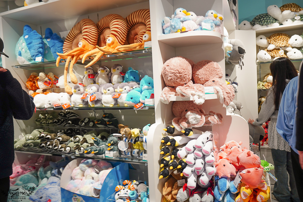 下關水族館．海響館攻略：全世界最多種類河豚展示，日本最大”企鵝村”，世界稀有藍鯨全身骨骼標本，海豚海獅同台表演秀 @緹雅瑪 美食旅遊趣