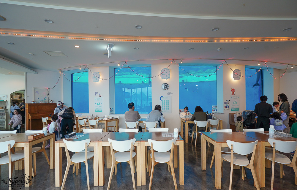 下關水族館．海響館攻略：全世界最多種類河豚展示，日本最大”企鵝村”，世界稀有藍鯨全身骨骼標本，海豚海獅同台表演秀 @緹雅瑪 美食旅遊趣