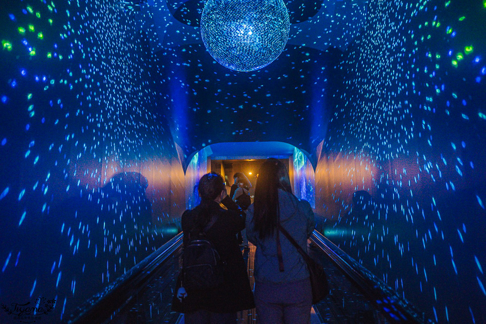 下關水族館．海響館攻略：全世界最多種類河豚展示，日本最大”企鵝村”，世界稀有藍鯨全身骨骼標本，海豚海獅同台表演秀 @緹雅瑪 美食旅遊趣