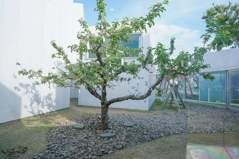 【青森景點】十和田市現代美術館攻略：交通、門票、必看藝術裝置一次搞定！ @緹雅瑪 美食旅遊趣