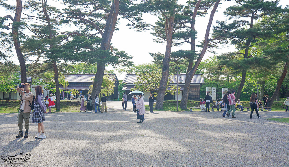 函館自由行必訪「箱館奉行所」歷史工藝大解密！！五稜郭公園裡巨型木造古建築巡禮 @緹雅瑪 美食旅遊趣