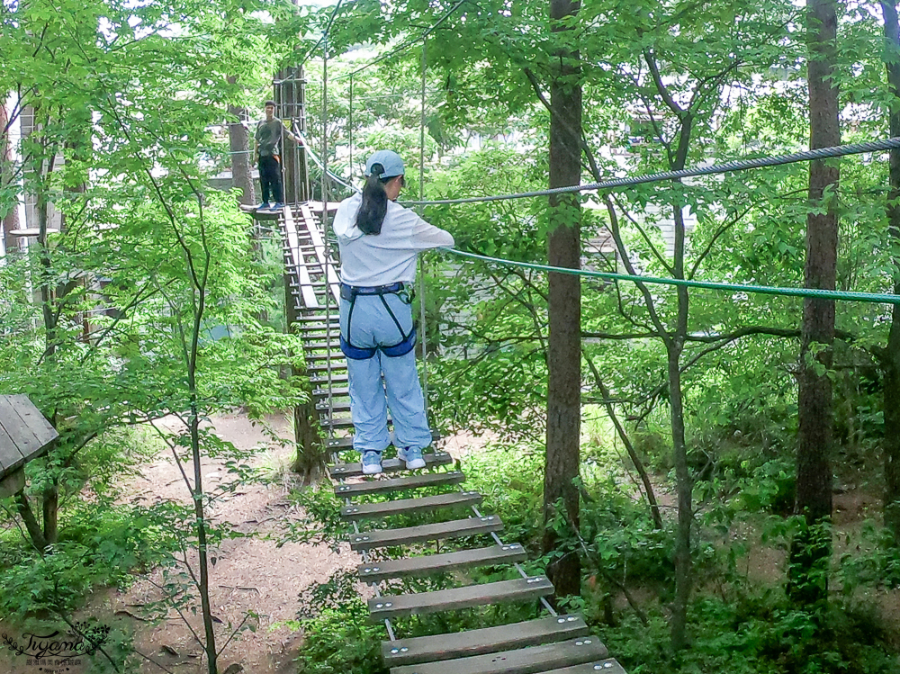 星野集團 RISONARE 山梨八岳｜森林空中漫步「空中散步」穿梭在山梨八岳森林之間的漫步之旅 @緹雅瑪 美食旅遊趣