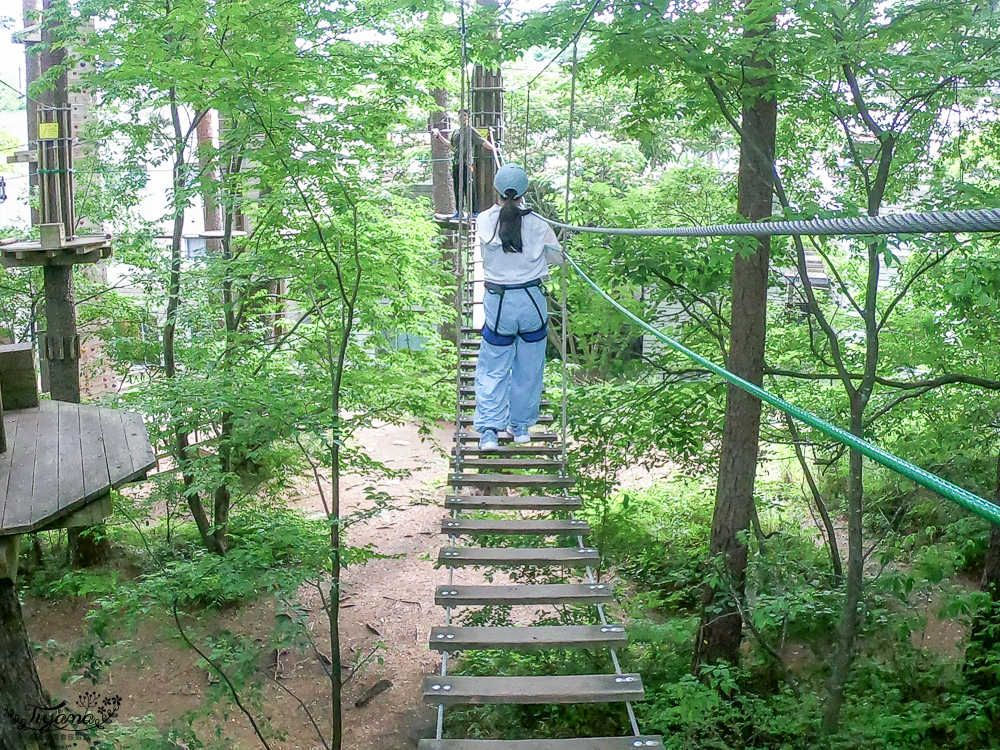 星野集團 RISONARE 山梨八岳｜森林空中漫步「空中散步」穿梭在山梨八岳森林之間的漫步之旅 @緹雅瑪 美食旅遊趣