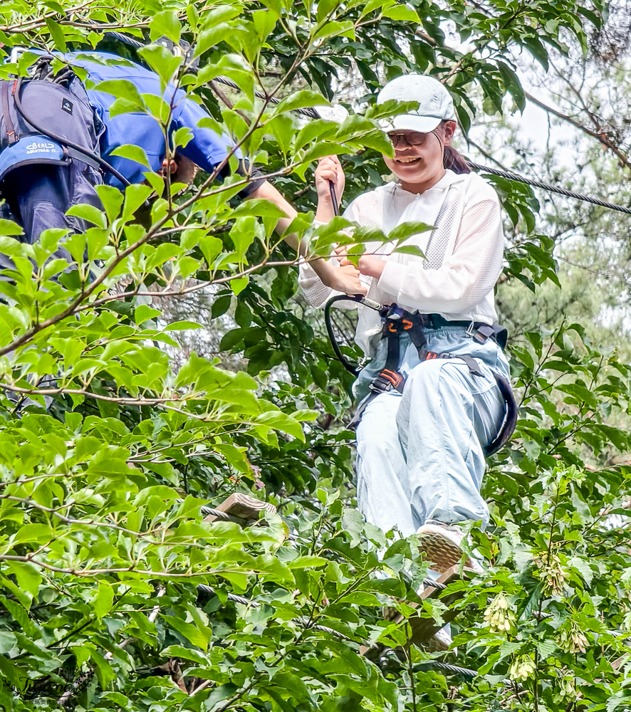 星野集團 RISONARE 山梨八岳｜森林空中漫步「空中散步」穿梭在山梨八岳森林之間的漫步之旅 @緹雅瑪 美食旅遊趣