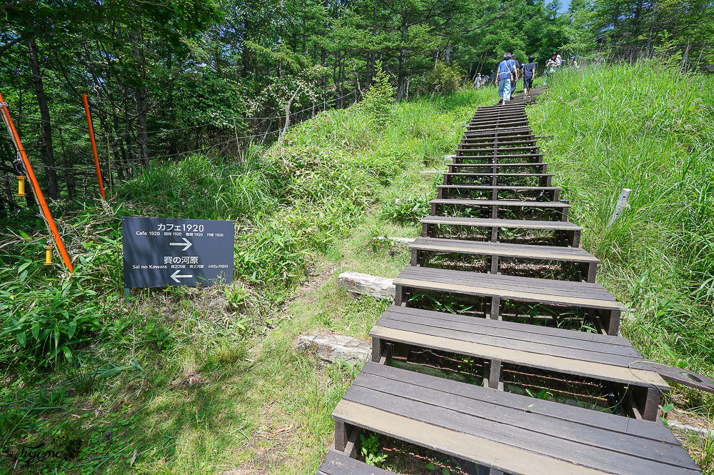 【山梨景點】 清里Terrace|清里露台:搭太陽草甸清裡纜車,坐高原沙發座喝咖啡賞山梨八岳景色,高原卡丁車也必玩! @緹雅瑪 美食旅遊趣 【山梨景點】 清里Terrace|清里露台:搭太陽草甸清裡纜車,坐高原沙發座喝咖啡賞山梨八岳景色,高原卡丁車也必玩! @緹雅瑪 美食旅遊趣