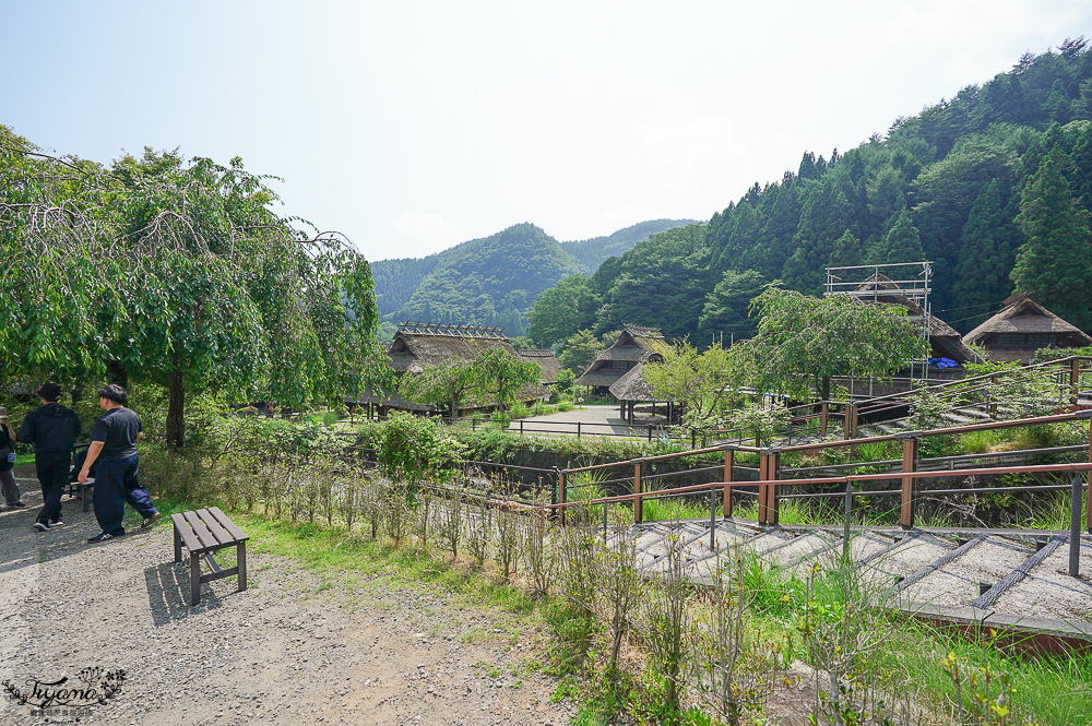西湖 療癒之里 根場｜西湖必遊景點：富士山河口湖週邊合掌造村落！「食事処 里山」甲州餺飥麵 @緹雅瑪 美食旅遊趣