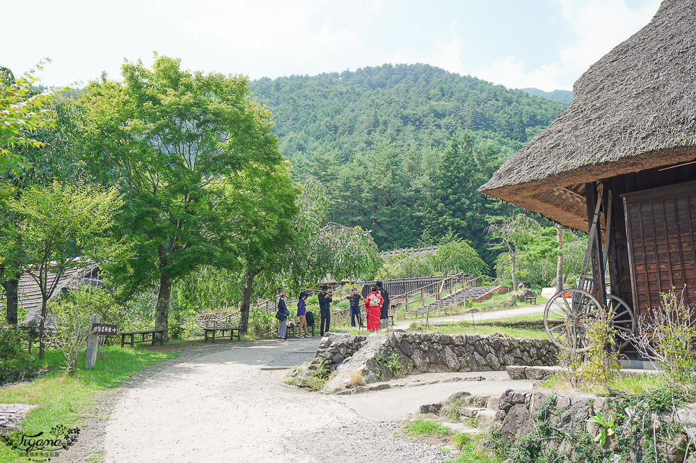 西湖 療癒之里 根場｜西湖必遊景點：富士山河口湖週邊合掌造村落！「食事処 里山」甲州餺飥麵 @緹雅瑪 美食旅遊趣