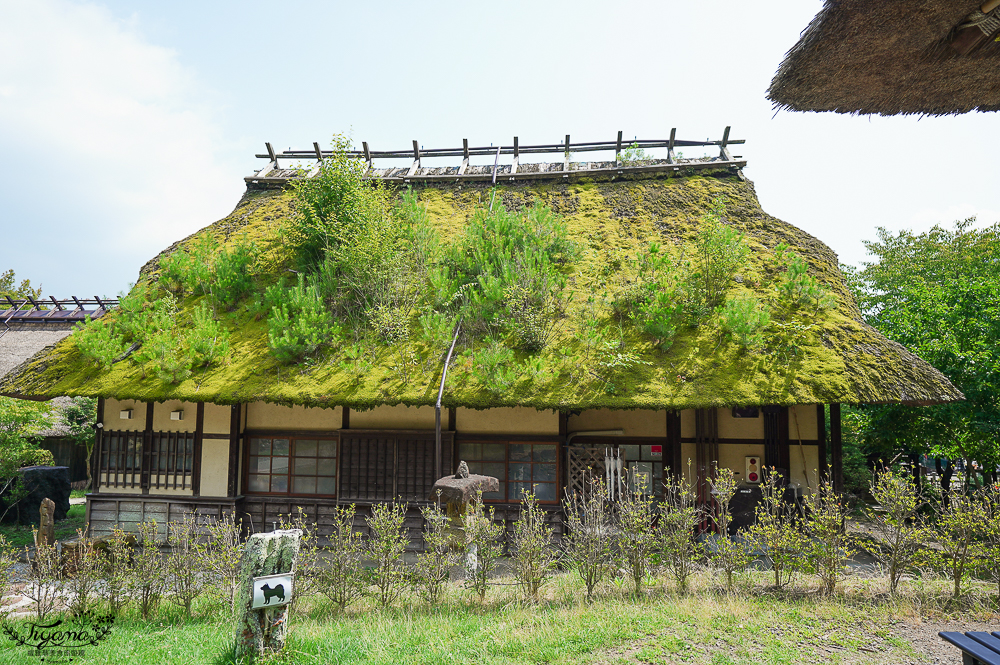 西湖 療癒之里 根場｜西湖必遊景點：富士山河口湖週邊合掌造村落！「食事処 里山」甲州餺飥麵 @緹雅瑪 美食旅遊趣