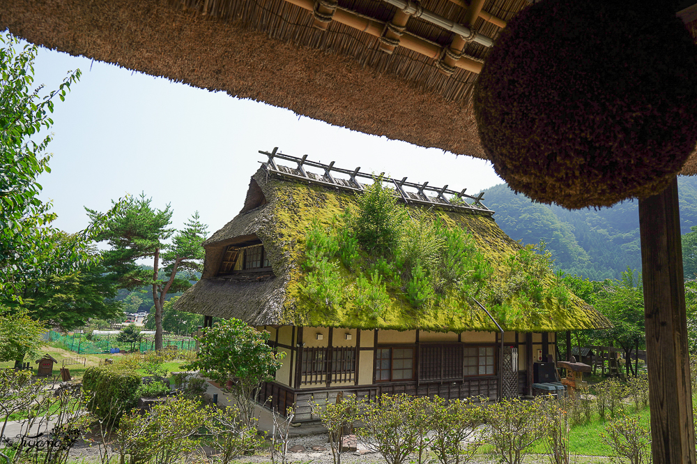 西湖 療癒之里 根場｜西湖必遊景點：富士山河口湖週邊合掌造村落！「食事処 里山」甲州餺飥麵 @緹雅瑪 美食旅遊趣