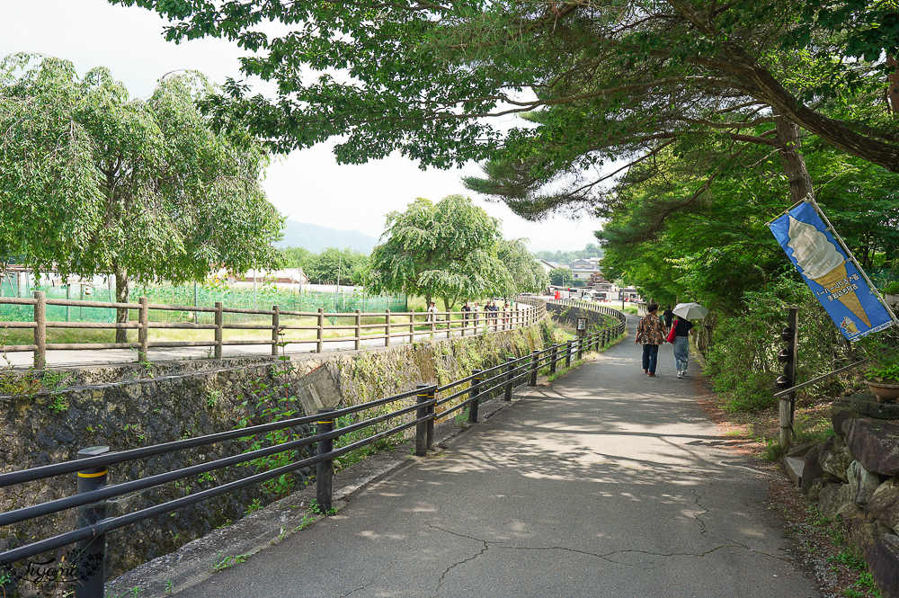 西湖 療癒之里 根場｜西湖必遊景點：富士山河口湖週邊合掌造村落！「食事処 里山」甲州餺飥麵 @緹雅瑪 美食旅遊趣