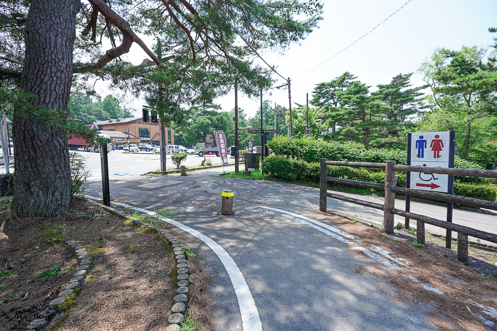 【富士山河口湖週邊景色】山中湖遊覽船“天鵝湖”:餵天鵝、搭純白天鵝造型船遊湖、森林驛站旭日丘巴士站 @緹雅瑪 美食旅遊趣 【富士山河口湖週邊景色】山中湖遊覽船“天鵝湖”:餵天鵝、搭純白天鵝造型船遊湖、森林驛站旭日丘巴士站 @緹雅瑪 美食旅遊趣