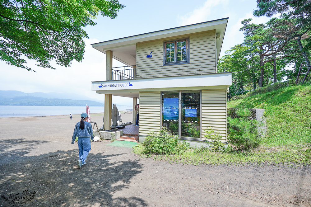 【富士山河口湖週邊景色】山中湖遊覽船“天鵝湖”:餵天鵝、搭純白天鵝造型船遊湖、森林驛站旭日丘巴士站 @緹雅瑪 美食旅遊趣 【富士山河口湖週邊景色】山中湖遊覽船“天鵝湖”:餵天鵝、搭純白天鵝造型船遊湖、森林驛站旭日丘巴士站 @緹雅瑪 美食旅遊趣