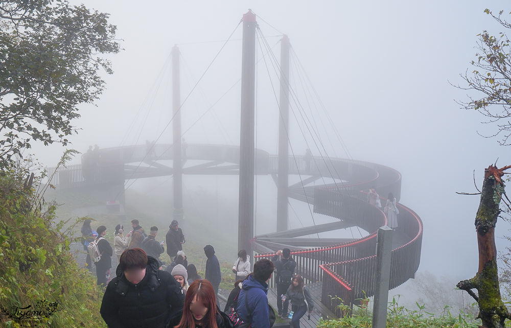 【北海道景點】雲海平台 完整攻略！ KUMO Cafe 雲咖啡、雲海步道，搭雲海纜車喝雲海咖啡、雲海霜淇淋 @緹雅瑪 美食旅遊趣