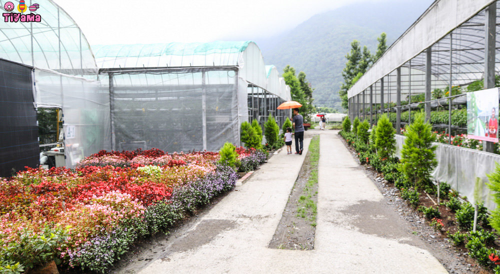 南投住宿旅遊|楓樺台一渡假村：住宿、美食、採果、遊園 「南投小旅行」 @緹雅瑪 美食旅遊趣