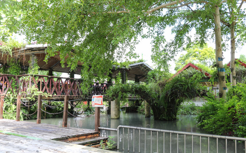 南投住宿旅遊|楓樺台一渡假村：住宿、美食、採果、遊園 「南投小旅行」 @緹雅瑪 美食旅遊趣