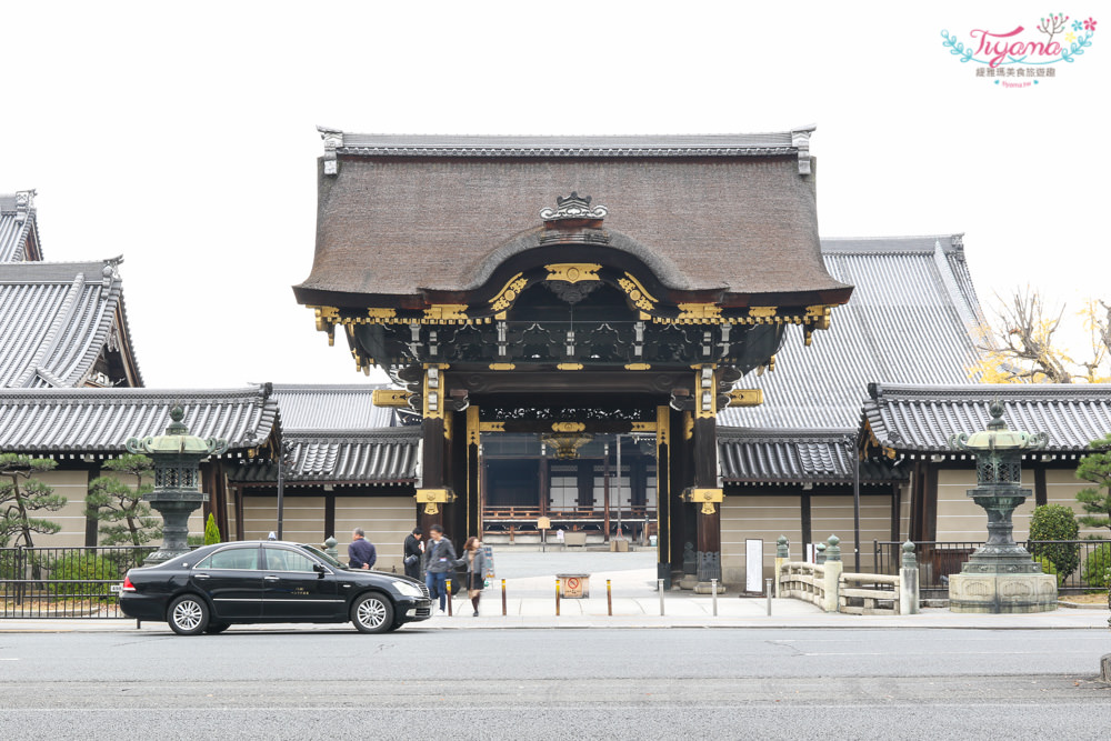 京都賞銀杏必遊景點|西本願寺：超巨大黃金元氣玉銀杏 @緹雅瑪 美食旅遊趣