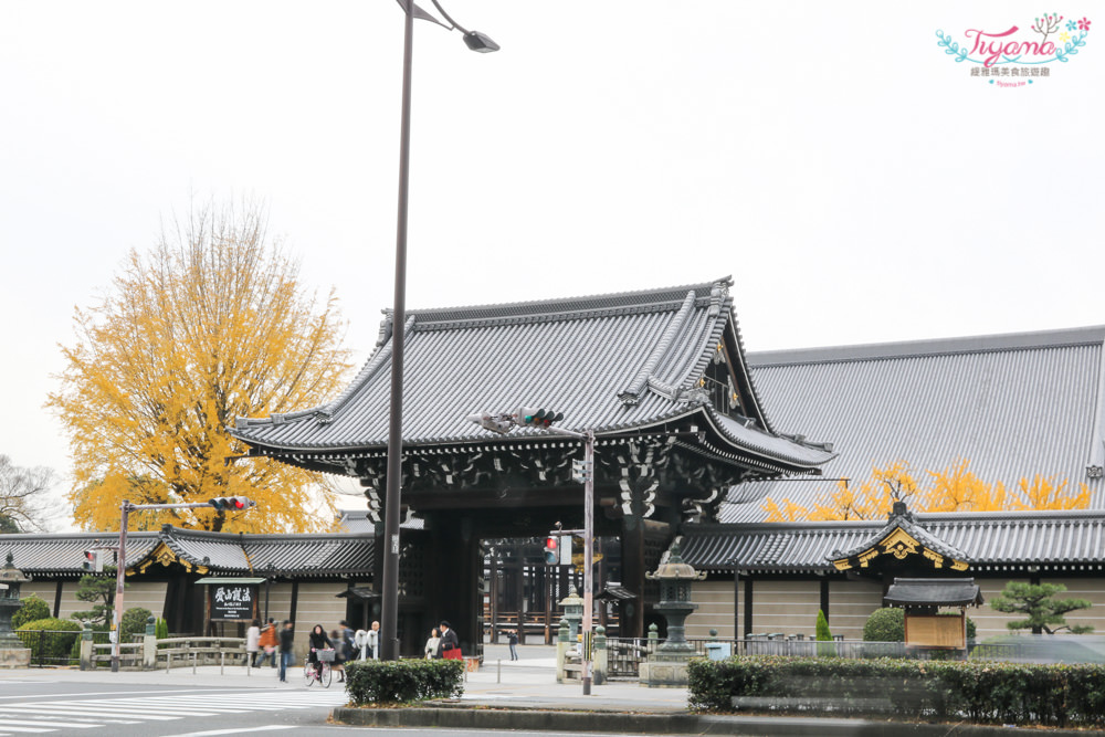 京都賞銀杏必遊景點|西本願寺：超巨大黃金元氣玉銀杏 @緹雅瑪 美食旅遊趣