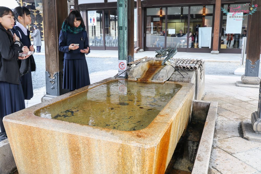 京都賞銀杏必遊景點|西本願寺：超巨大黃金元氣玉銀杏 @緹雅瑪 美食旅遊趣