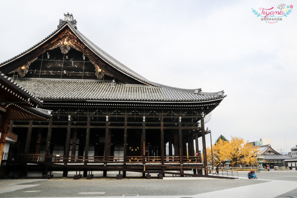 京都賞銀杏必遊景點|西本願寺：超巨大黃金元氣玉銀杏 @緹雅瑪 美食旅遊趣