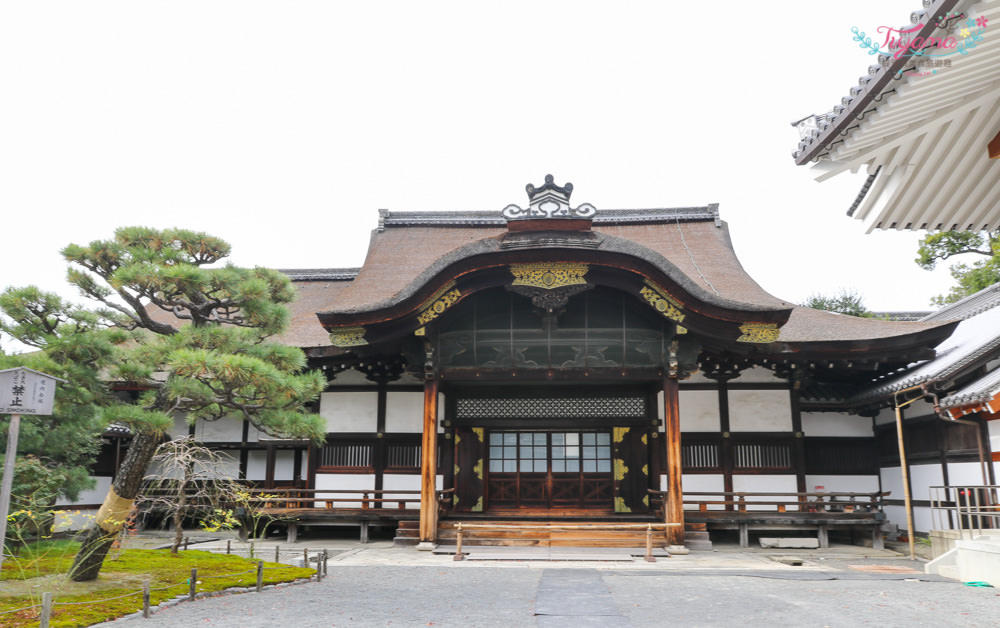 京都賞銀杏必遊景點|西本願寺：超巨大黃金元氣玉銀杏 @緹雅瑪 美食旅遊趣