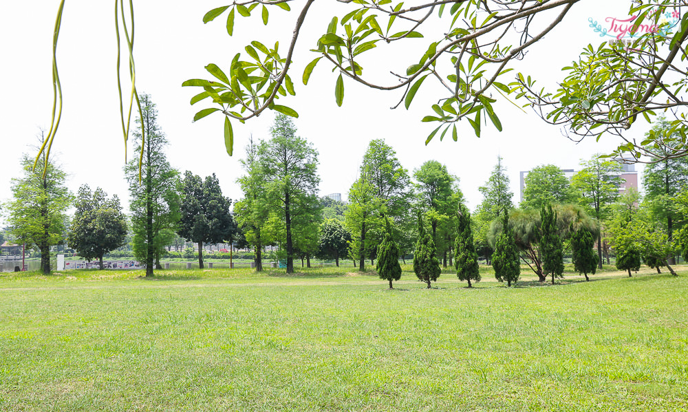 彰化秘境景點|明道大學好好玩！落羽松、日式和室、莊園度假木屋、明道果園、獨木舟、攀岩，北斗美食吃不停！彰化一日遊 @緹雅瑪 美食旅遊趣