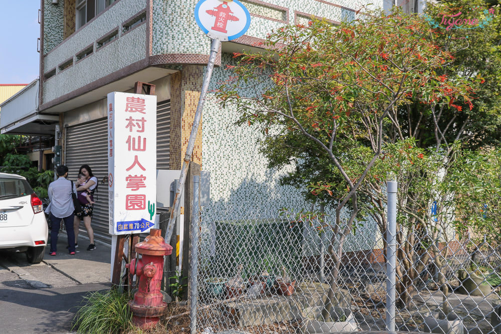 彰化景點~田尾農村仙人掌園，巨大仙人掌IG打卡景點 @緹雅瑪 美食旅遊趣