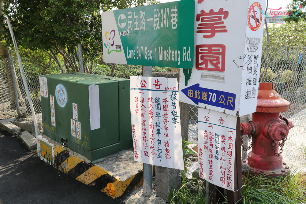 彰化景點~田尾農村仙人掌園，巨大仙人掌IG打卡景點 @緹雅瑪 美食旅遊趣