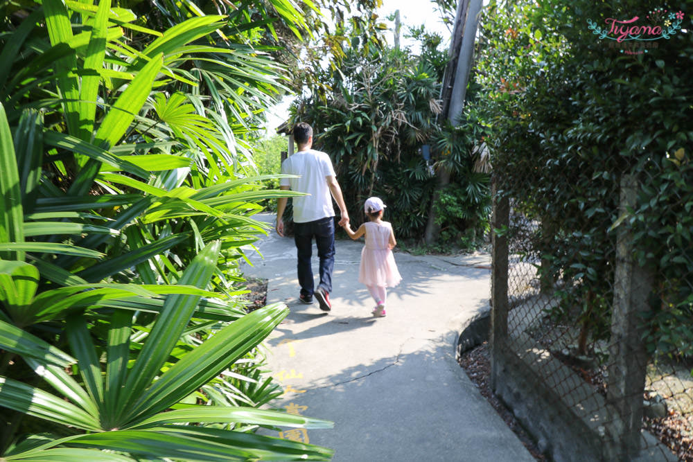 彰化景點~田尾農村仙人掌園，巨大仙人掌IG打卡景點 @緹雅瑪 美食旅遊趣