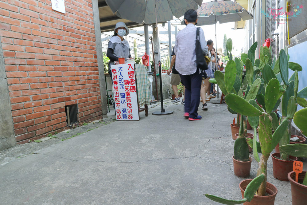 彰化景點~田尾農村仙人掌園，巨大仙人掌IG打卡景點 @緹雅瑪 美食旅遊趣