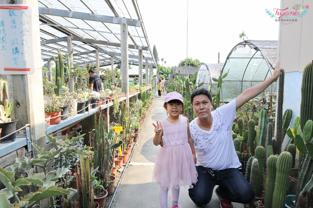 彰化景點~田尾農村仙人掌園，巨大仙人掌IG打卡景點 @緹雅瑪 美食旅遊趣