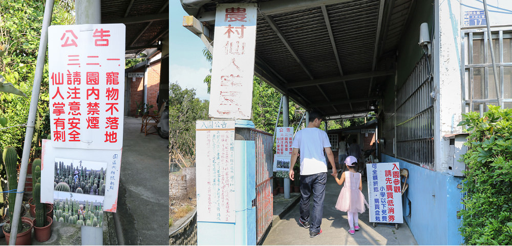 彰化景點~田尾農村仙人掌園，巨大仙人掌IG打卡景點 @緹雅瑪 美食旅遊趣