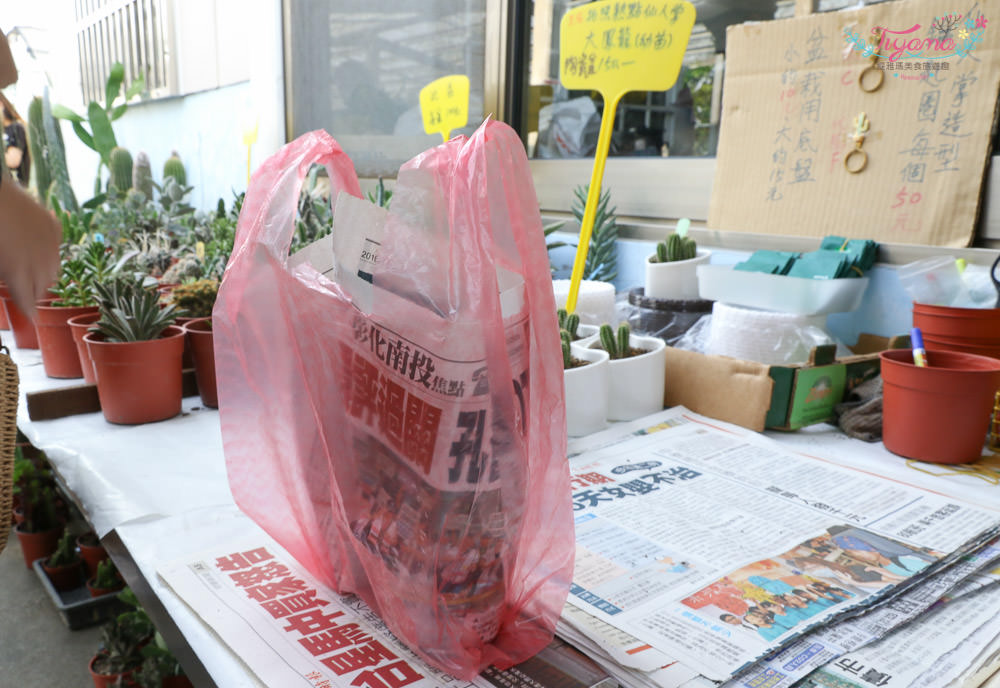 彰化景點~田尾農村仙人掌園，巨大仙人掌IG打卡景點 @緹雅瑪 美食旅遊趣