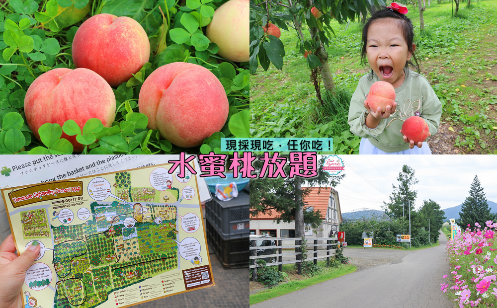 日本採水蜜桃|水蜜桃吃到飽。山本觀光果樹園：北海道採水果滿現採現吃水蜜桃吃到飽 @緹雅瑪 美食旅遊趣