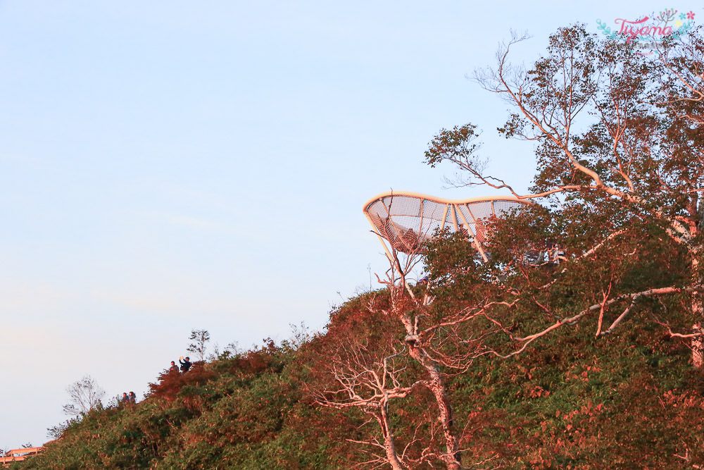 北海道雲海/星野度假村 雲海平台：日本絕景~雲海纜車.展望咖啡廳.雲端漂浮 @緹雅瑪 美食旅遊趣