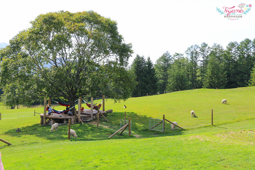 北海道星野Tomamu渡假村.牧場Farm：免費景點牧場草床.午睡吊床.餵羊&#038;騎馬體驗.自行車 @緹雅瑪 美食旅遊趣