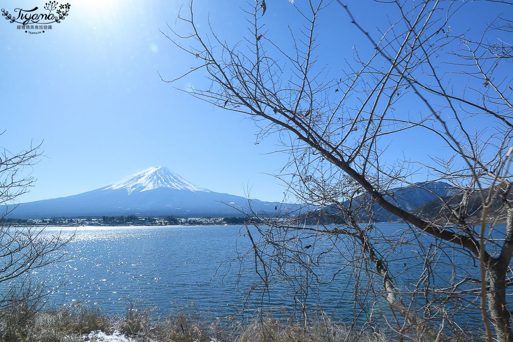 富士山一日遊|富士河口湖大石公園賞花.草莓放題.富士山景觀纜車.富士五合目 @緹雅瑪 美食旅遊趣