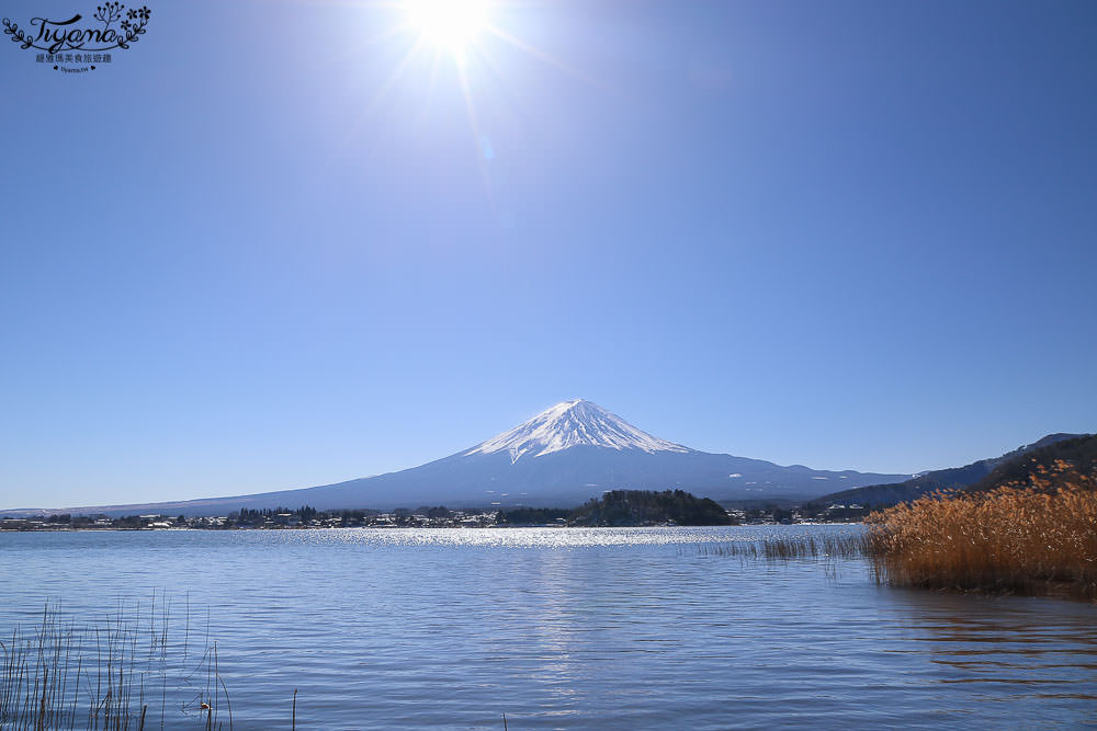 富士山一日遊|富士河口湖大石公園賞花.草莓放題.富士山景觀纜車.富士五合目 @緹雅瑪 美食旅遊趣