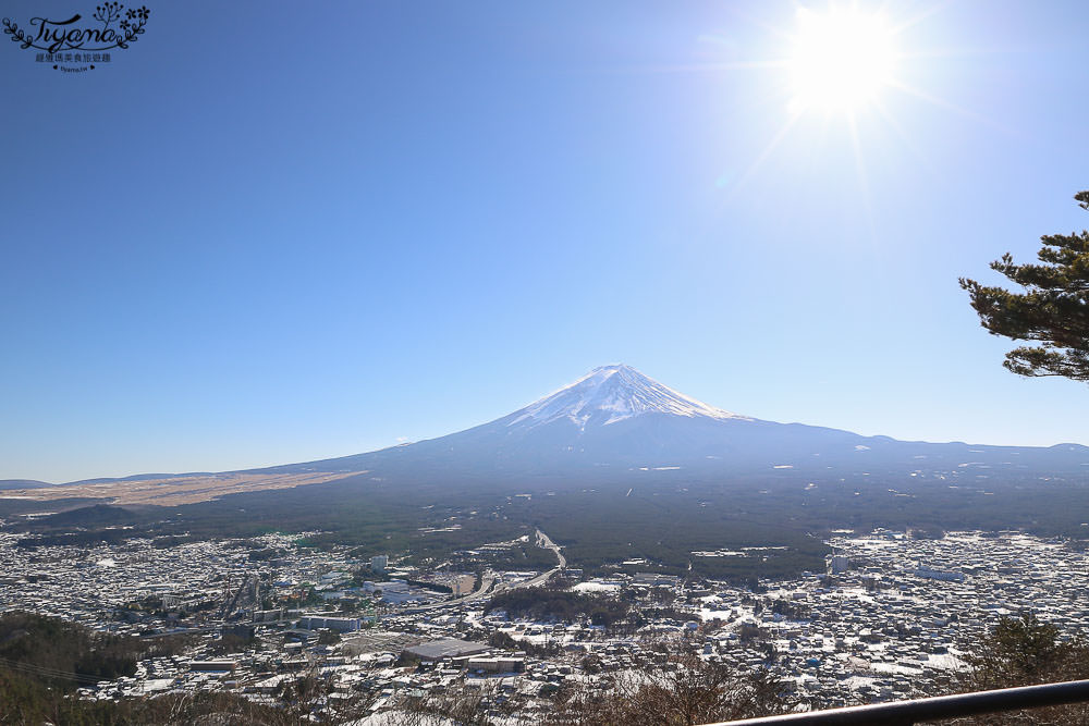 富士山河口湖一日遊|富士河口湖大石公園賞花.草莓放題.富士山景觀纜車.富士五合目 @緹雅瑪 美食旅遊趣