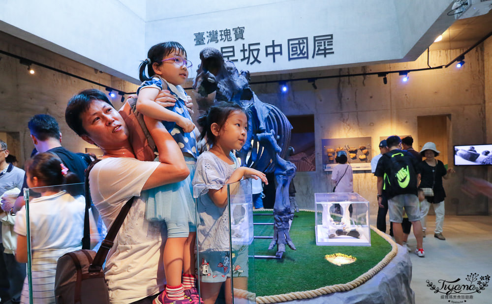 台南景點|臺南左鎮化石園區攻略：如何逛全台第一座化石主題園區最快速！ @緹雅瑪 美食旅遊趣