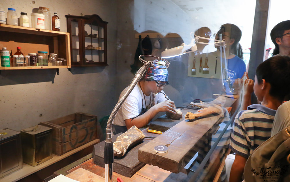 台南景點|臺南左鎮化石園區攻略：如何逛全台第一座化石主題園區最快速！ @緹雅瑪 美食旅遊趣