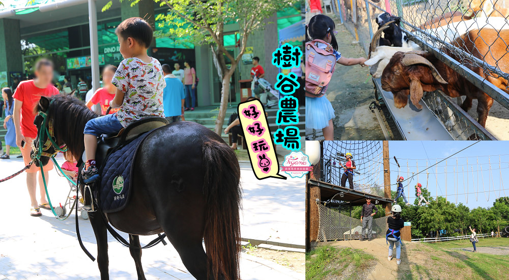 台南景點|臺南左鎮化石園區攻略：如何逛全台第一座化石主題園區最快速！ @緹雅瑪 美食旅遊趣