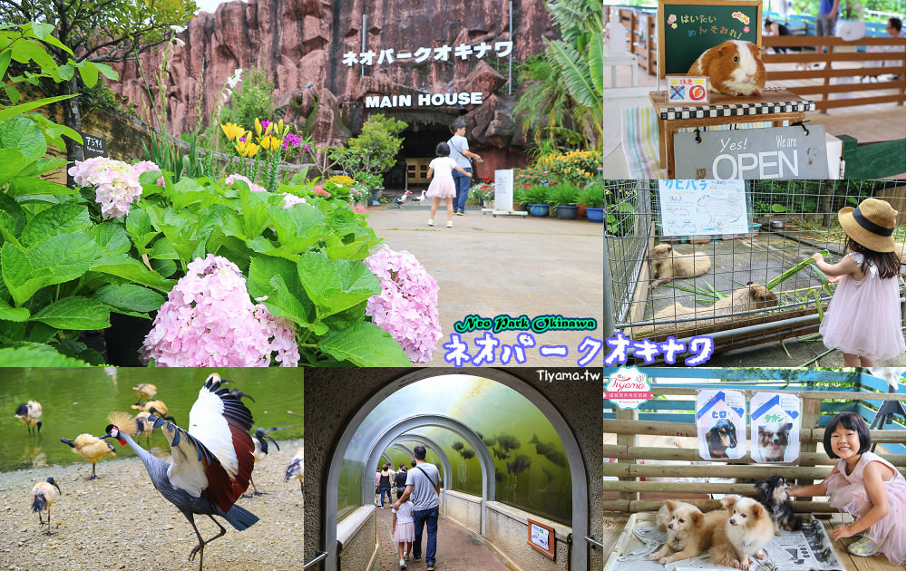 沖繩景點|名護自然動植物公園：親子必遊~和水豚君.小動物近距離互動 @緹雅瑪 美食旅遊趣
