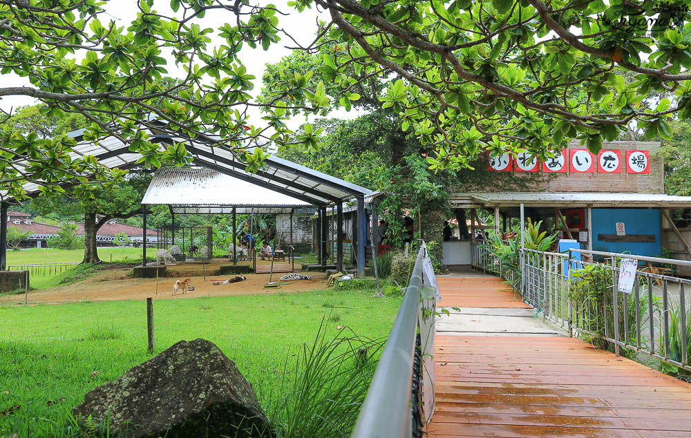 沖繩景點|名護自然動植物公園：親子必遊~和水豚君.小動物近距離互動 @緹雅瑪 美食旅遊趣