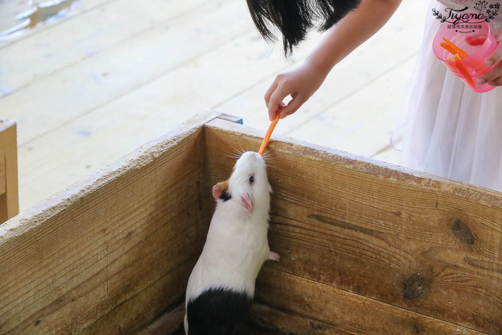 沖繩景點|名護自然動植物公園：親子必遊~和水豚君.小動物近距離互動 @緹雅瑪 美食旅遊趣