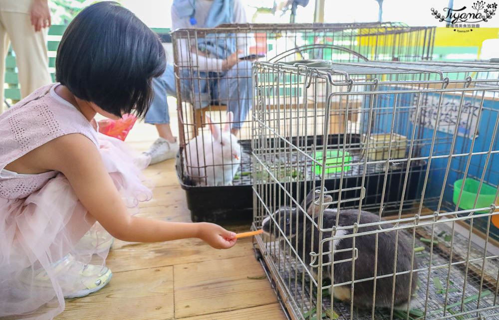 沖繩景點|名護自然動植物公園：親子必遊~和水豚君.小動物近距離互動 @緹雅瑪 美食旅遊趣